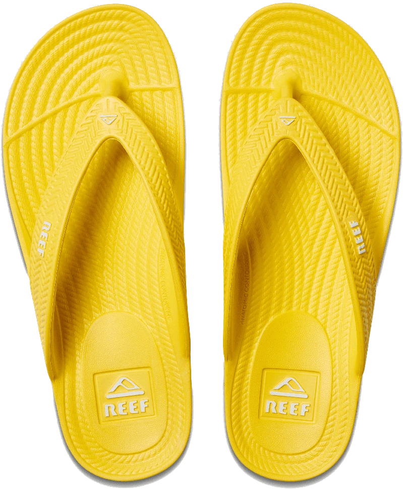 INFRADITO REEF WATER COURT SUNNY CI9859 1 INFRADITO REEF WATER COURT SUNNY CI9859